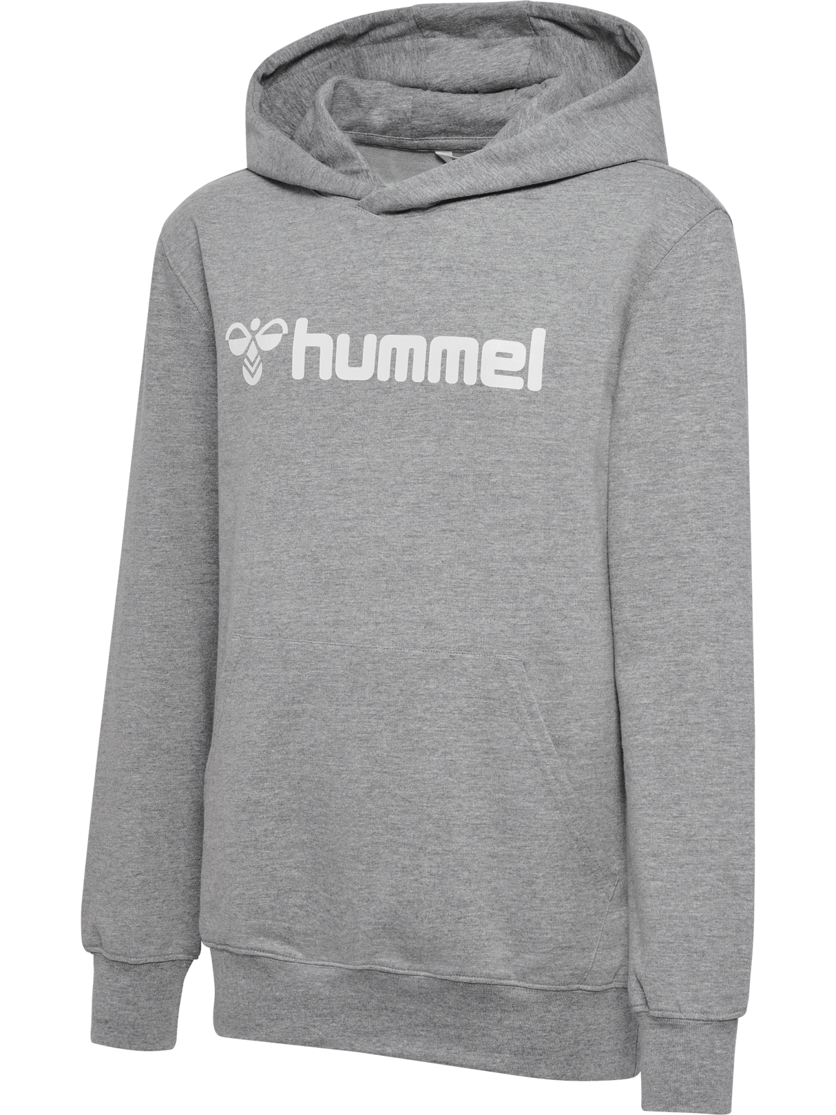 hummel Youth Go 2.0 Logo Hoodie-1