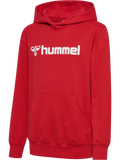 hummel Youth Go 2.0 Logo Hoodie-1