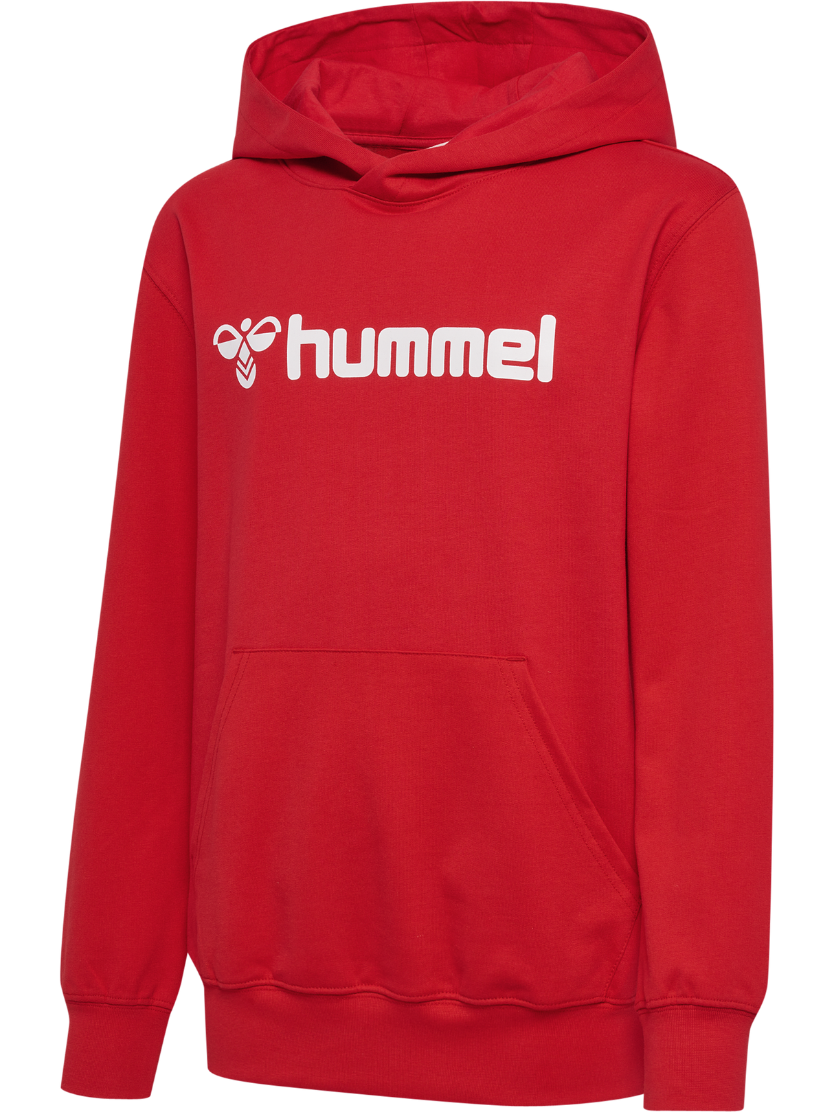 hummel Youth Go 2.0 Logo Hoodie-1