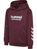 hummel Youth Logo Hoodie-1