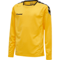 hummel Youth Authentic Poly Long Sleeve Jersey-1
