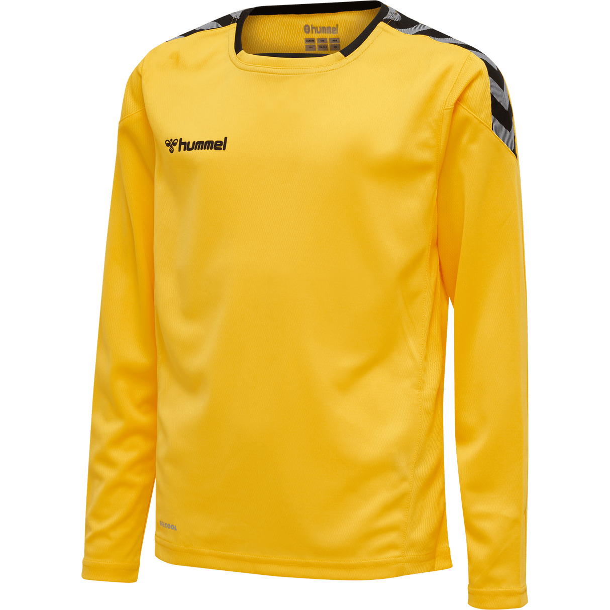 hummel Youth Authentic Poly Long Sleeve Jersey-1