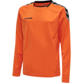 hummel Youth Authentic Poly Long Sleeve Jersey-1