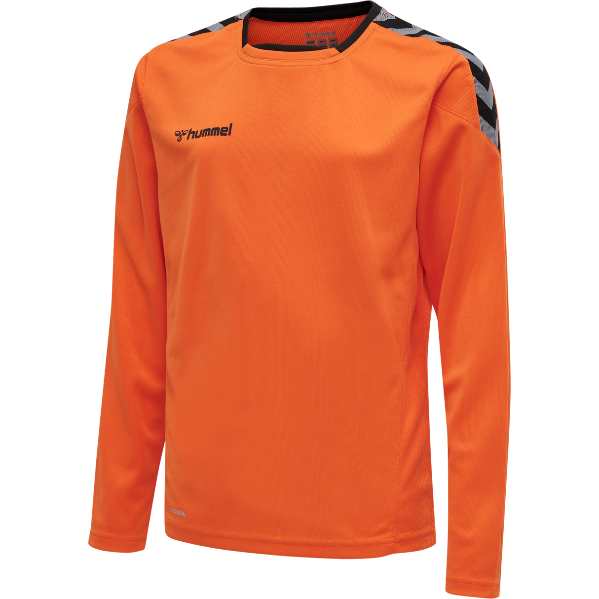 hummel Youth Authentic Poly Long Sleeve Jersey-1