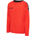 hummel Youth Authentic Poly Long Sleeve Jersey-1