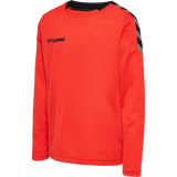 hummel Youth Authentic Poly Long Sleeve Jersey-1