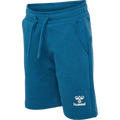hummel Youth Flow Shorts-1