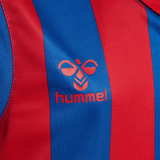 hummel Youth Core XK Striped Short Sleeve Jersey-3