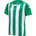 hummel Youth Core XK Striped Short Sleeve Jersey-1