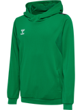 hummel Youth Authentic Polyester Hoodie-1