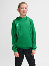 hummel Youth Authentic Polyester Hoodie-5