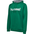 hummel Men's Go Cotton Logo Hoodie-1