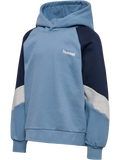 hummel Youth Loose Blocked Hoodie-1