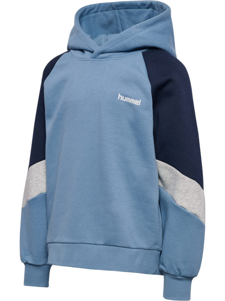 hummel Youth Loose Blocked Hoodie-1