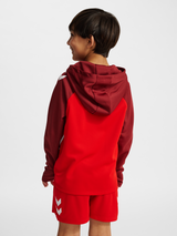 hummel Youth Lead 2.0 Zip Hoodie-5