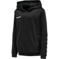 hummel Youth Authentic Poly Hoodie-1