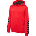 hummel Youth Authentic Poly Hoodie-1