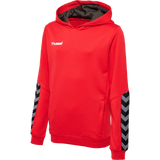 hummel Youth Authentic Poly Hoodie-1