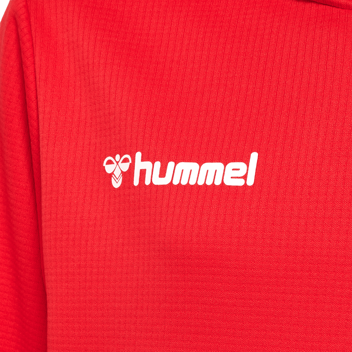 hummel Youth Authentic Poly Hoodie-3