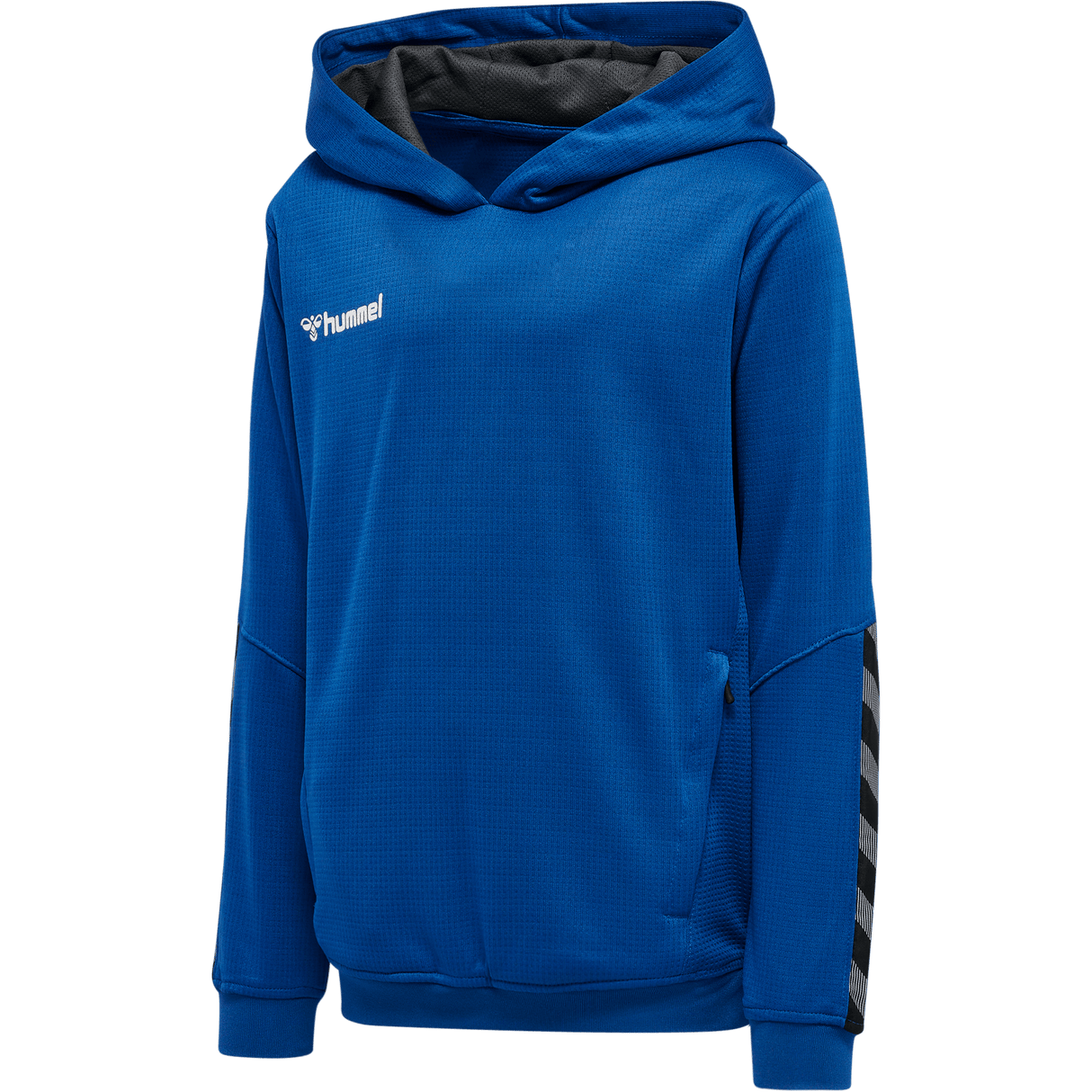 hummel Youth Authentic Poly Hoodie-1