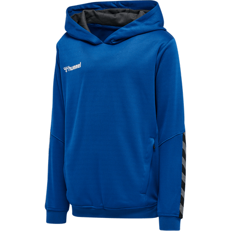 hummel Youth Authentic Poly Hoodie-1