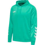 hummel Men's Promo Poly Hoodie-1