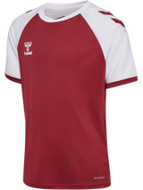 hummel Youth Match League Short Sleeve Jersey-1