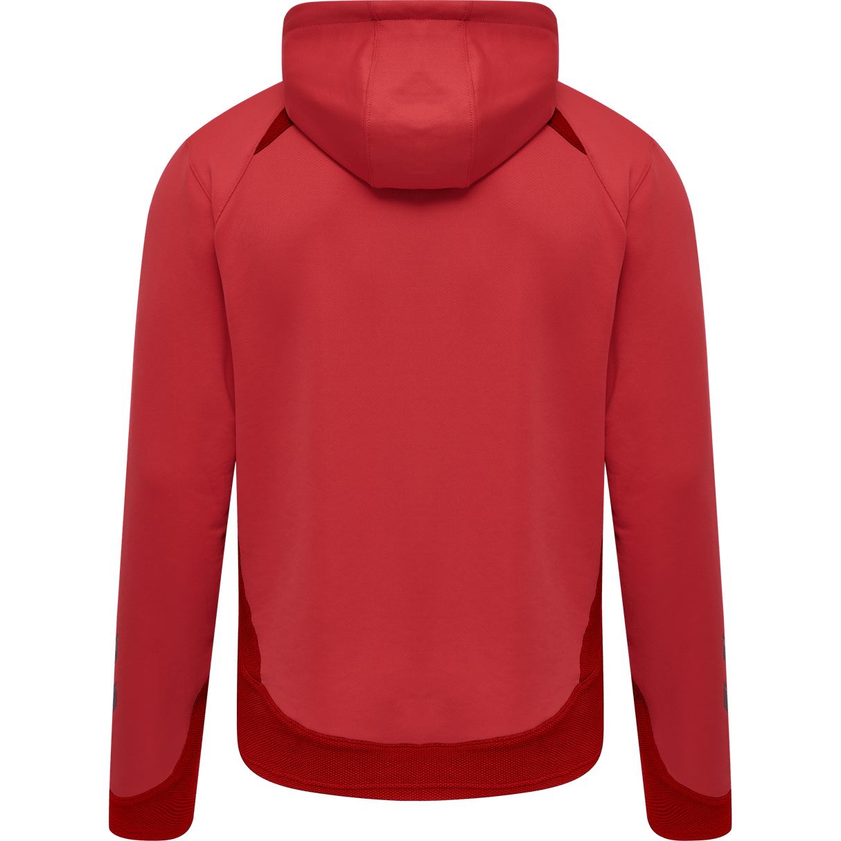 hummel Youth Lead Poly Hoodie-2