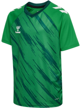 hummel Youth Match Triumph Short Sleeve Jersey-1