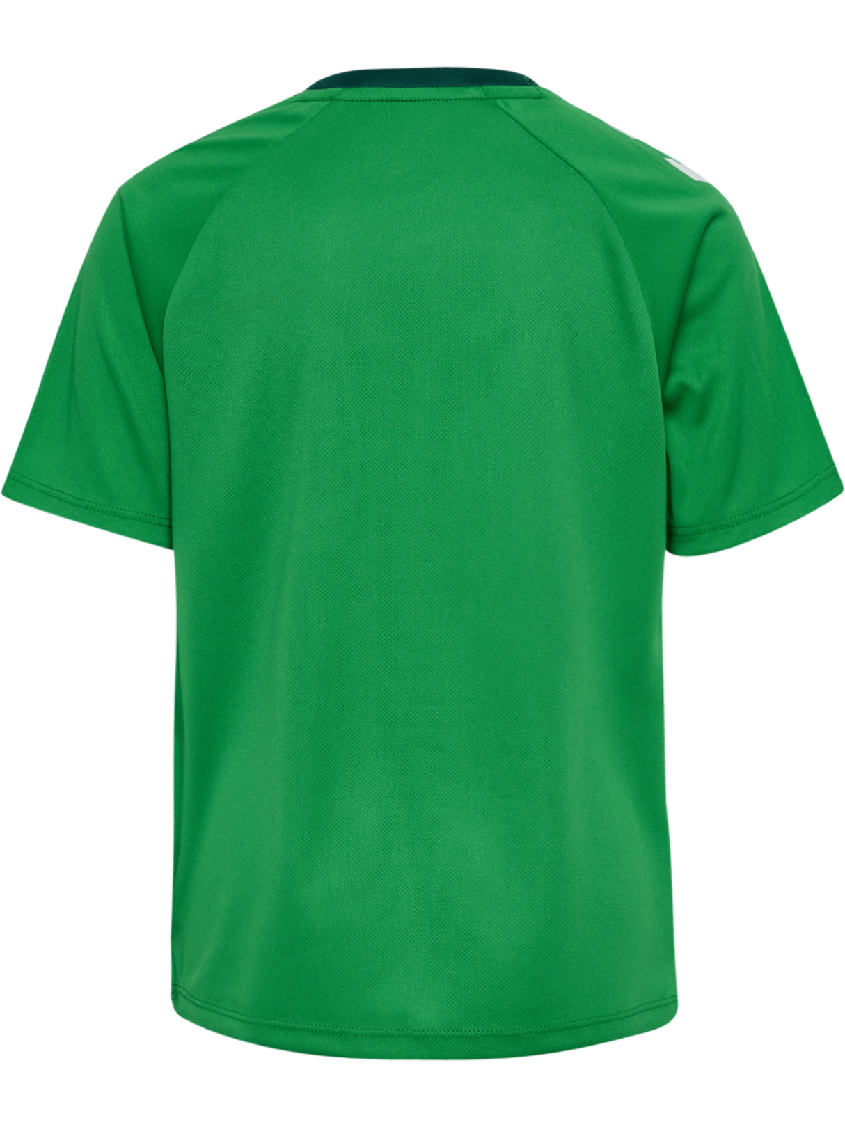 hummel Youth Match Triumph Short Sleeve Jersey-2