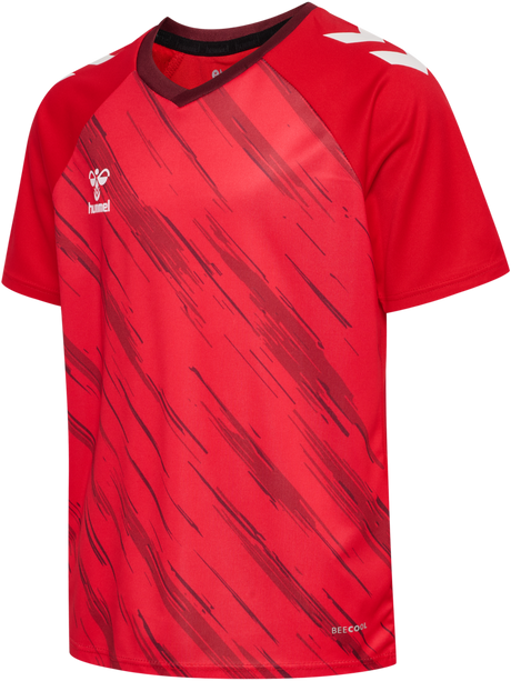 hummel Youth Match Triumph Short Sleeve Jersey-1