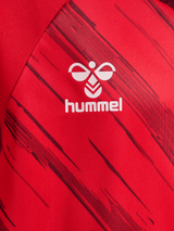 hummel Youth Match Triumph Short Sleeve Jersey-3