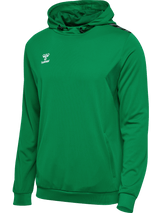 hummel Men's Authentic Polyester Hoodie-1