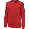 hummel Youth Authentic Training Sweatshirt-1