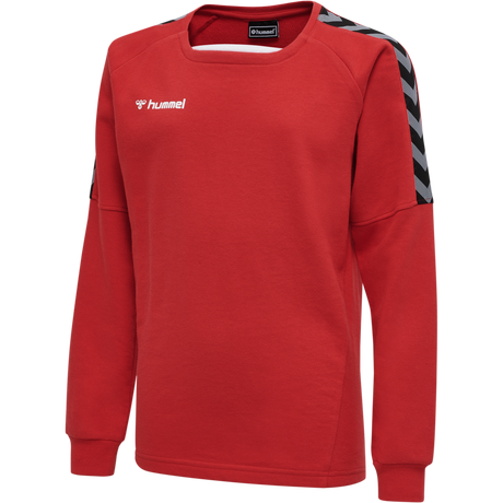 hummel Youth Authentic Training Sweatshirt-1
