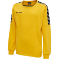hummel Youth Authentic Training Sweatshirt-1