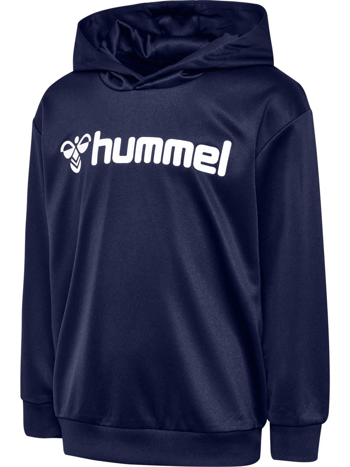 hummel Youth Logo Hoodie-1