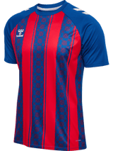 hummel Unisex Match Striped Short Sleeve Jersey-1