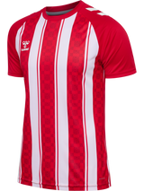 hummel Unisex Match Striped Short Sleeve Jersey-1