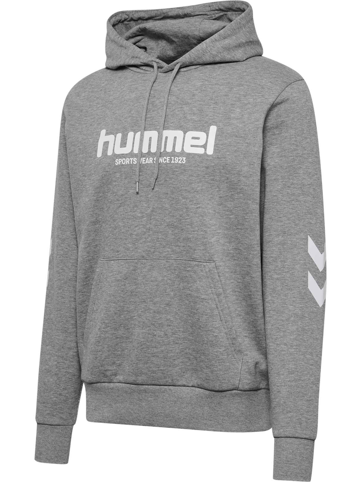 hummel Men's Legacy 2.0 Hoodie-1