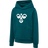 hummel Youth Cuatro Hoodie-1