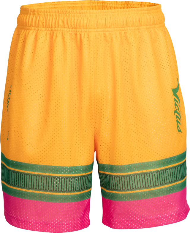 Victus Men's Mesh Shorts