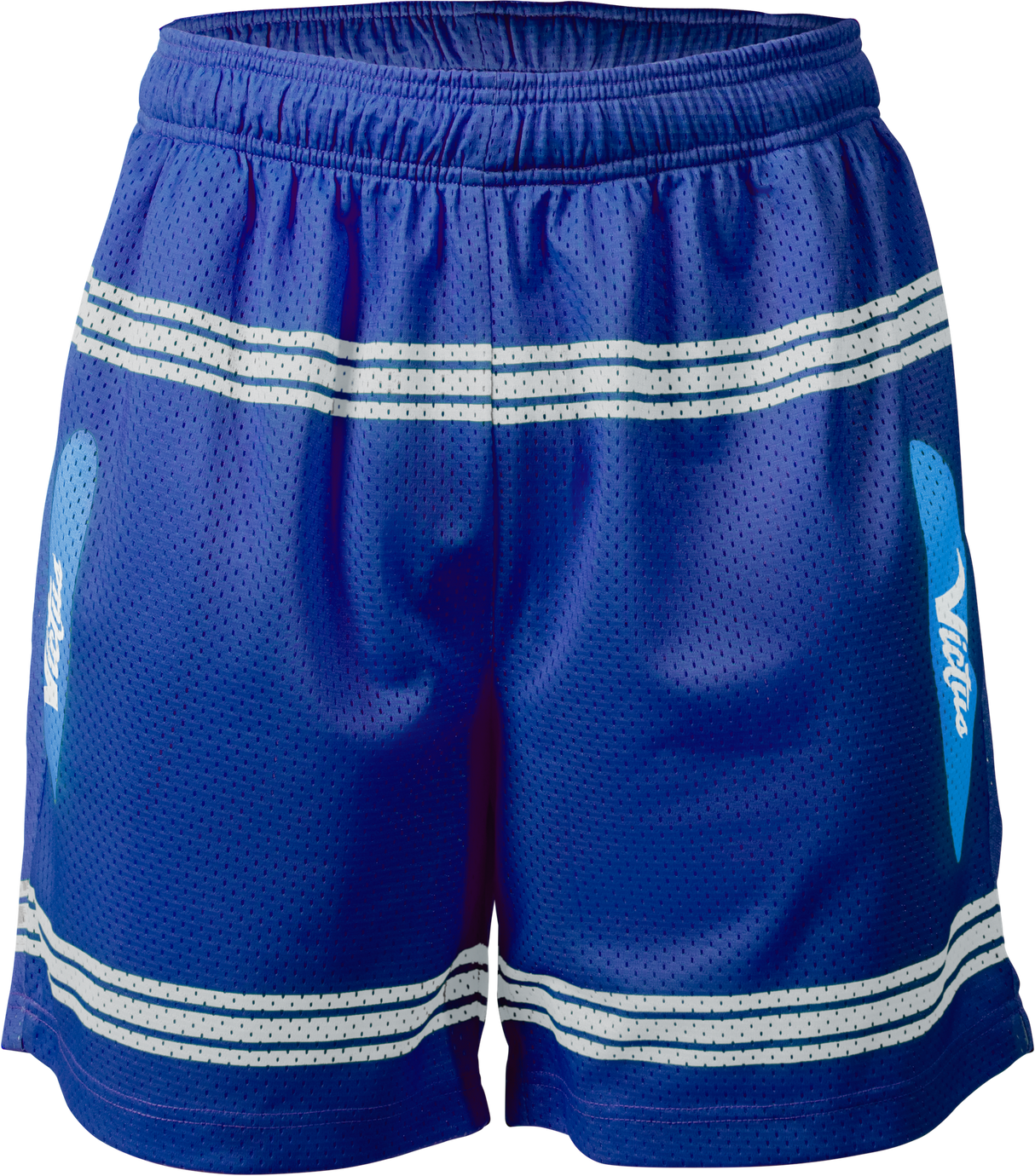 Victus Men's Mesh Shorts