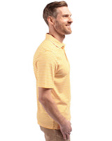 367902117.jpg