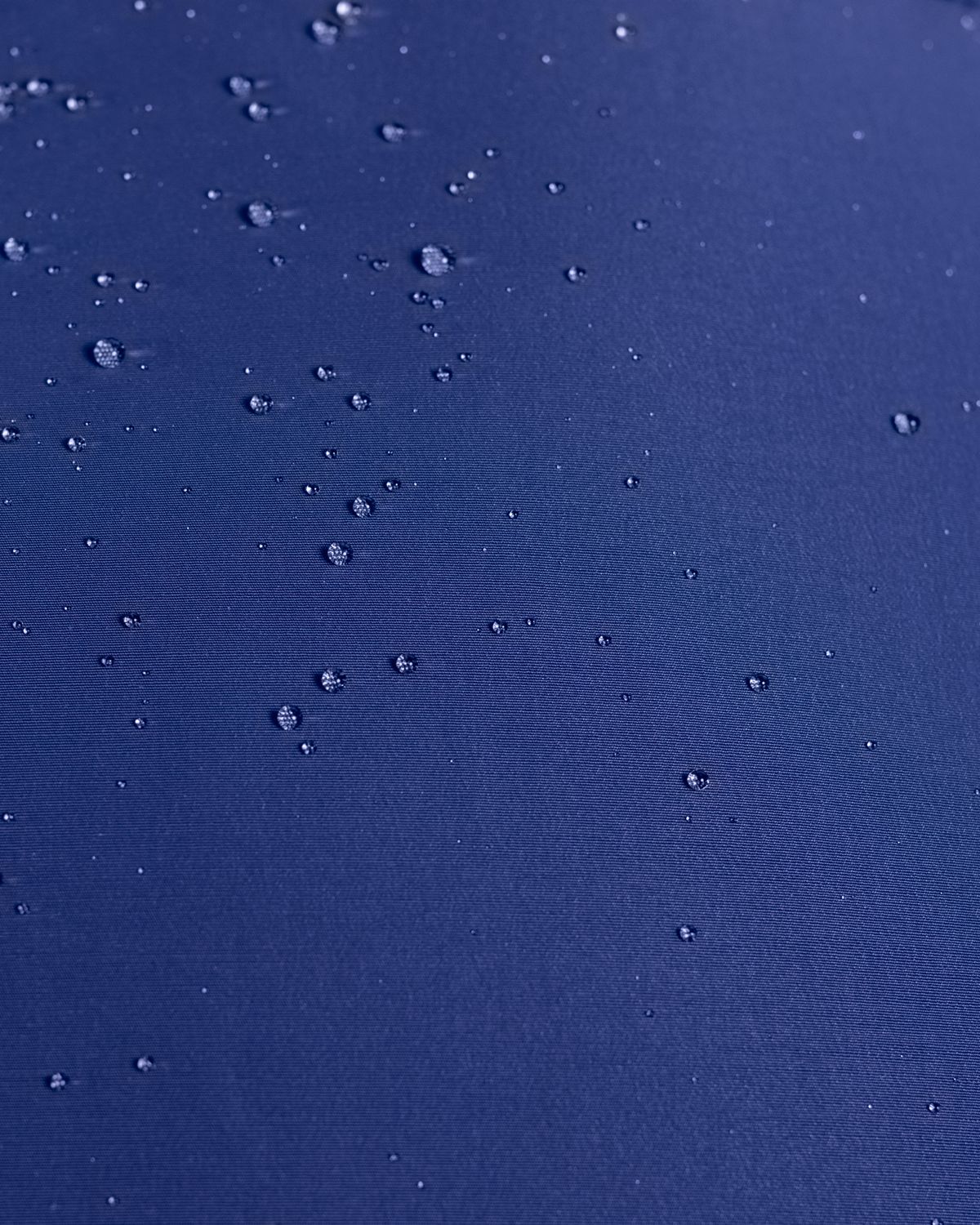 367909200.jpg