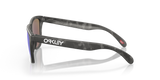 Oakley Frogskins A Glasses-4