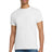 Gildan Men's   Ultra Cotton   100% US Cotton T-Shirt