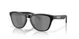 Oakley Frogskins S Glasses-2