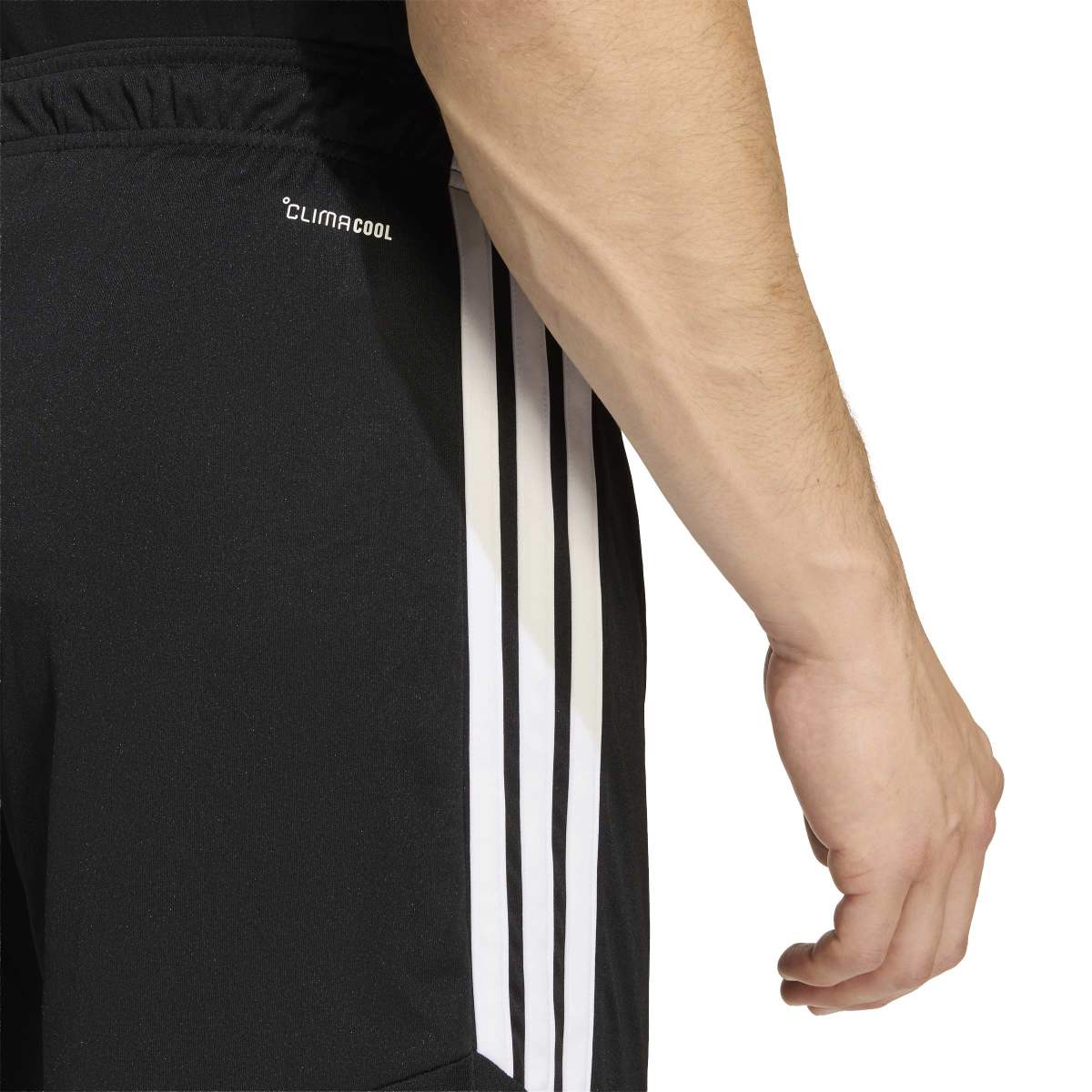 370071069.jpg