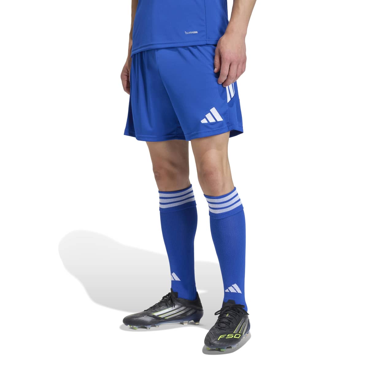 370071086.jpg